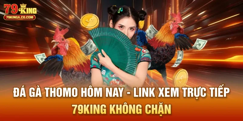 Đá Gà Thomo Hôm Nay - Link Xem Trực Tiếp 79King Không Chặn