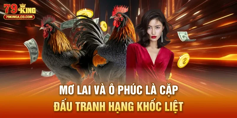 Mơ Lai và Ô Phúc là cặp đấu tranh hạng khốc liệt