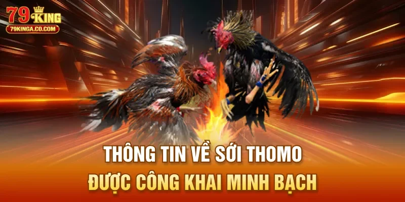 Thông tin về sới Thomo được công khai minh bạch